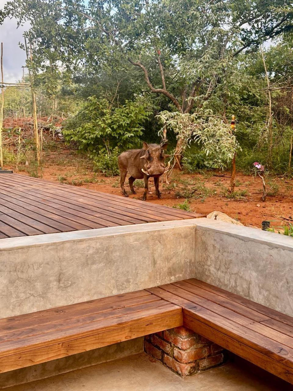 Pumba Villa Hoedspruit
