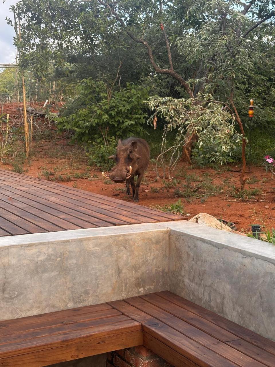 Villa Pumba *