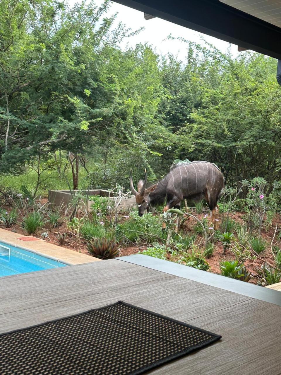 Pumba